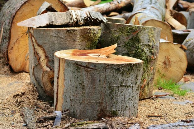 Schwerer Arbeitsunfall bei Holzarbeiten