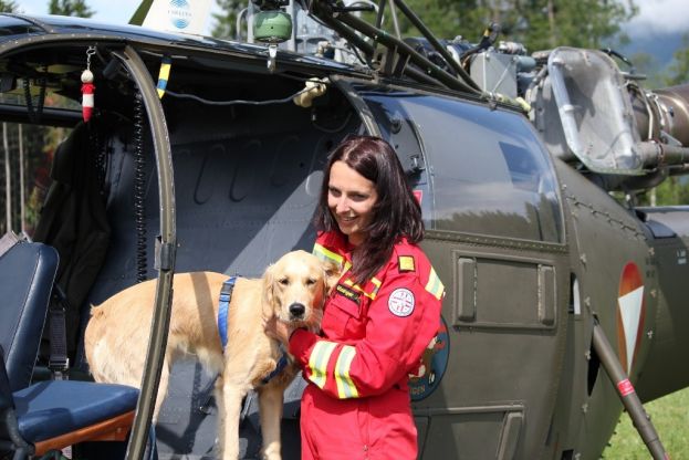 Hunde können auch Leben retten